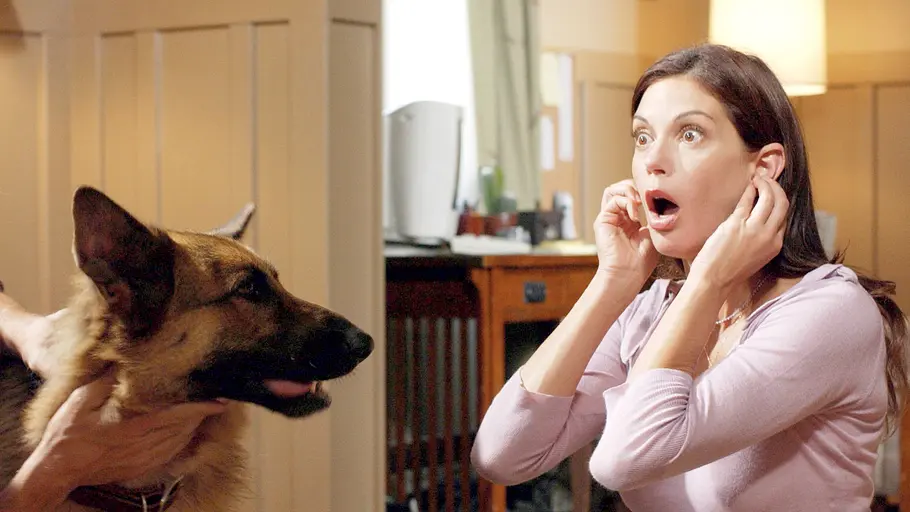 Desperate Housewives desperate housewives