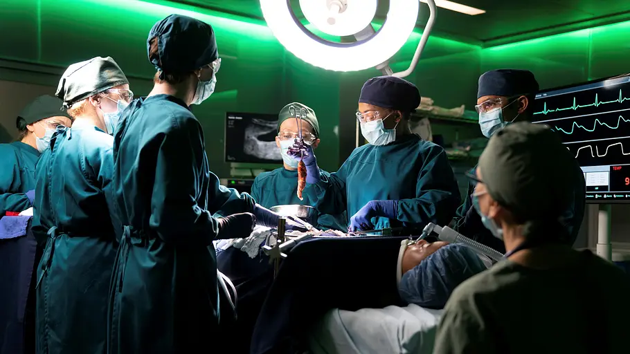 The Good Doctor the good doctor