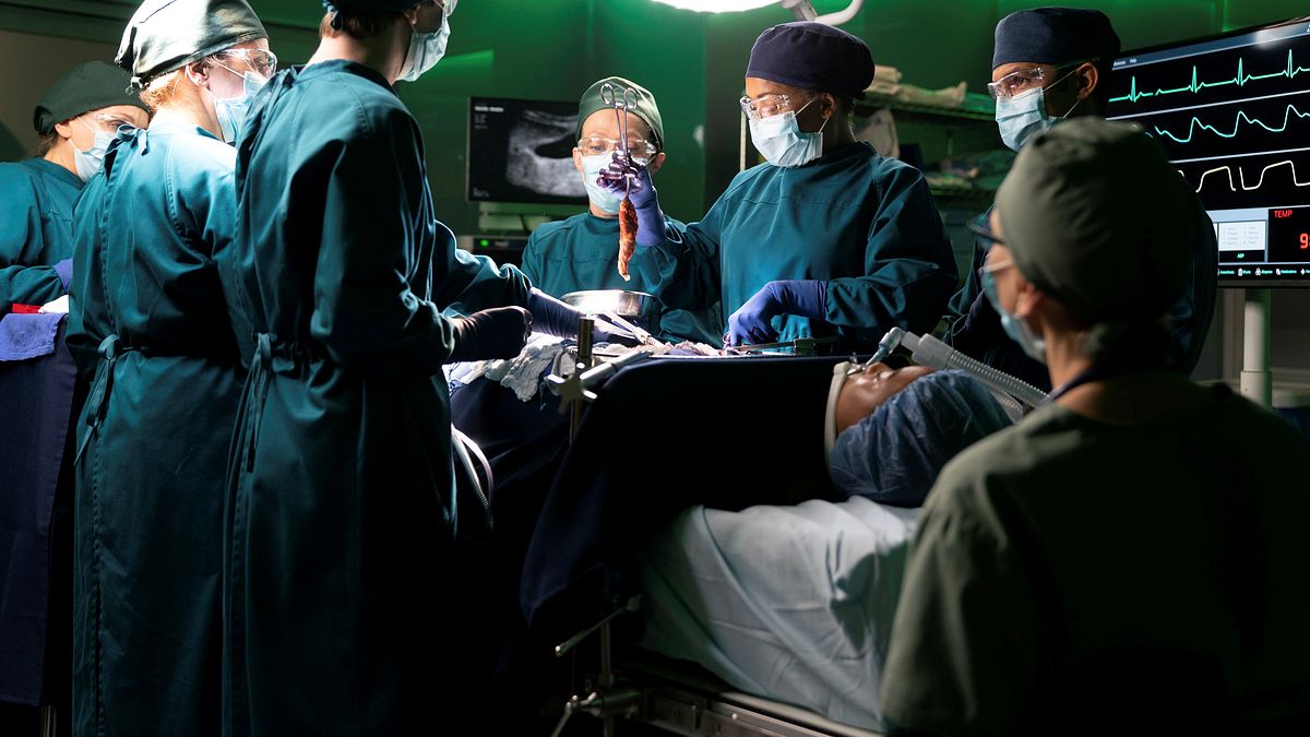 the good doctor