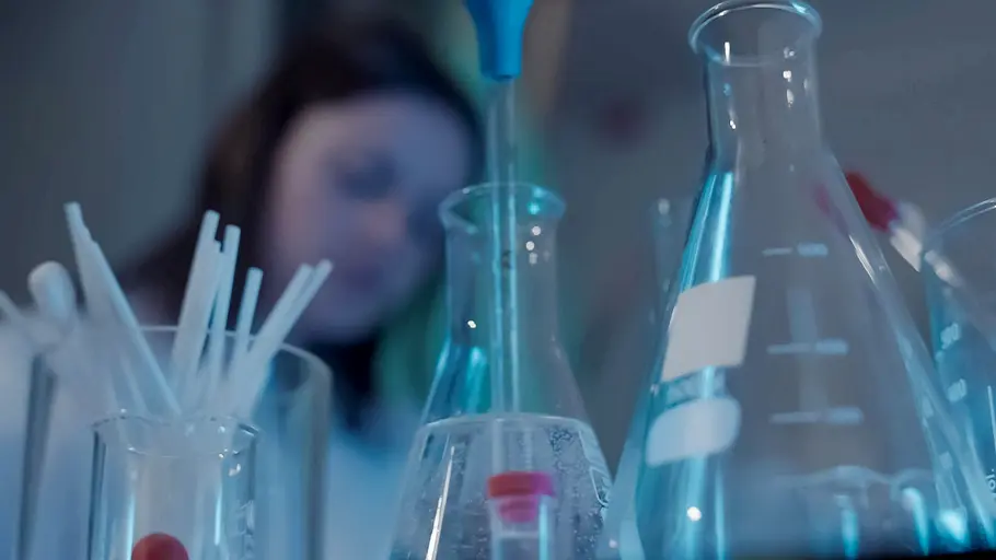 mord unter palmen