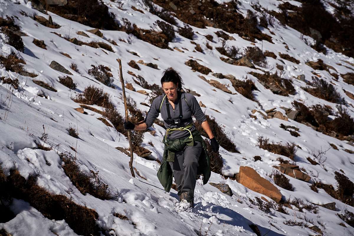 Ed Stafford: Das Survival-Duell ed stafford: das survival-duell