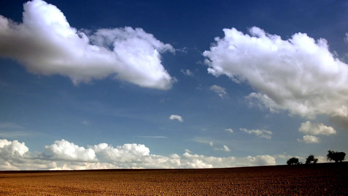 pampa blues