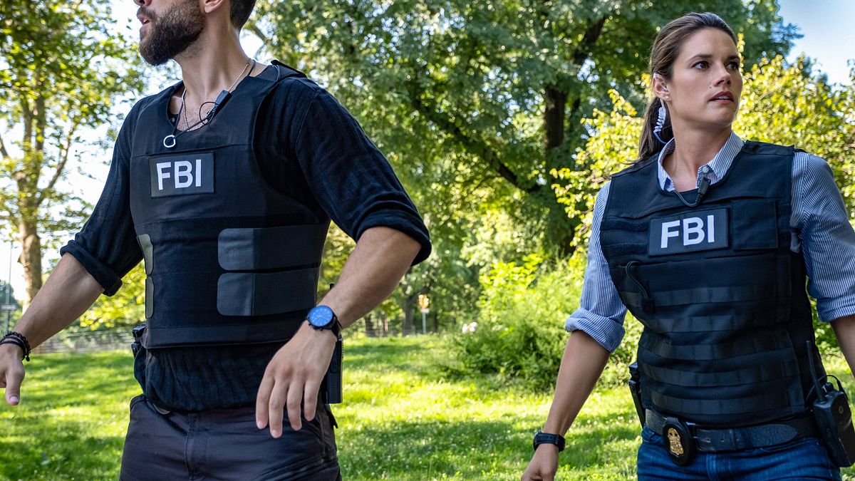 fbi: special crime unit