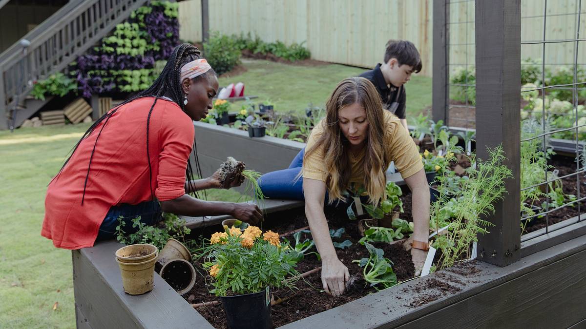 Homegrown - Aus Liebe zum Garten homegrown - aus liebe zum garten