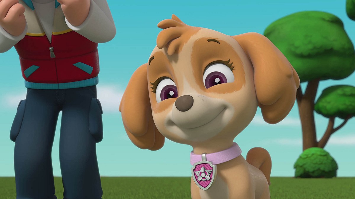 Paw Patrol - Helfer auf vier Pfoten paw patrol - helfer auf vier pfoten