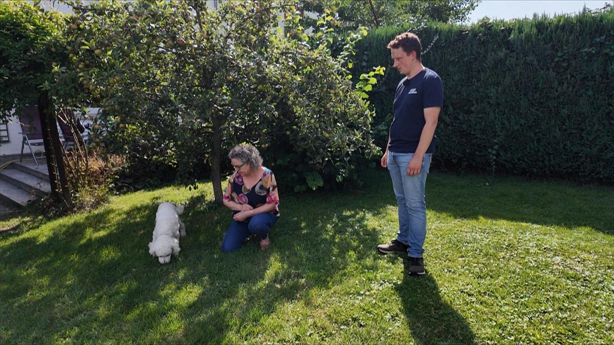 der hundeprofi - rütters team
