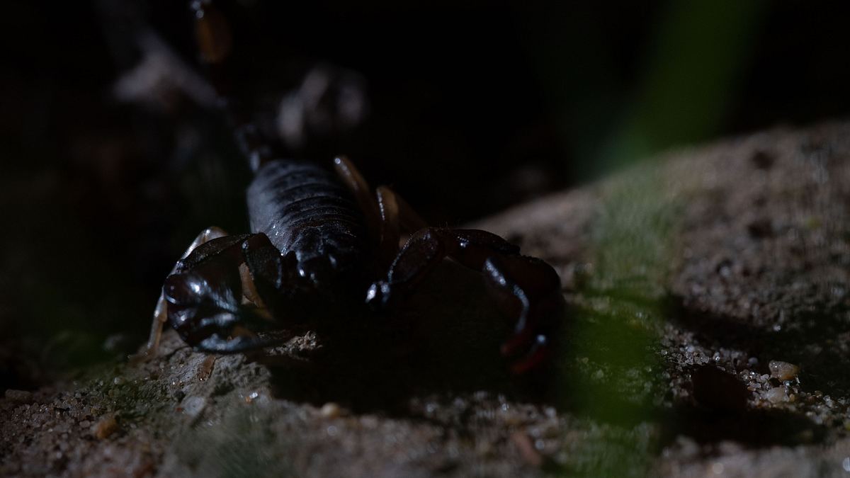 europas verborgene naturwunder