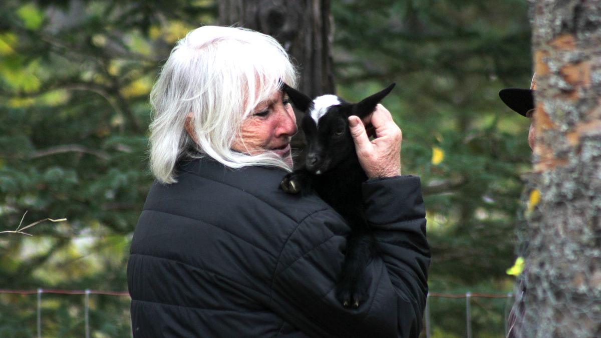 Home Rescue: Eine Ranch für die Raneys home rescue: eine ranch für die raneys