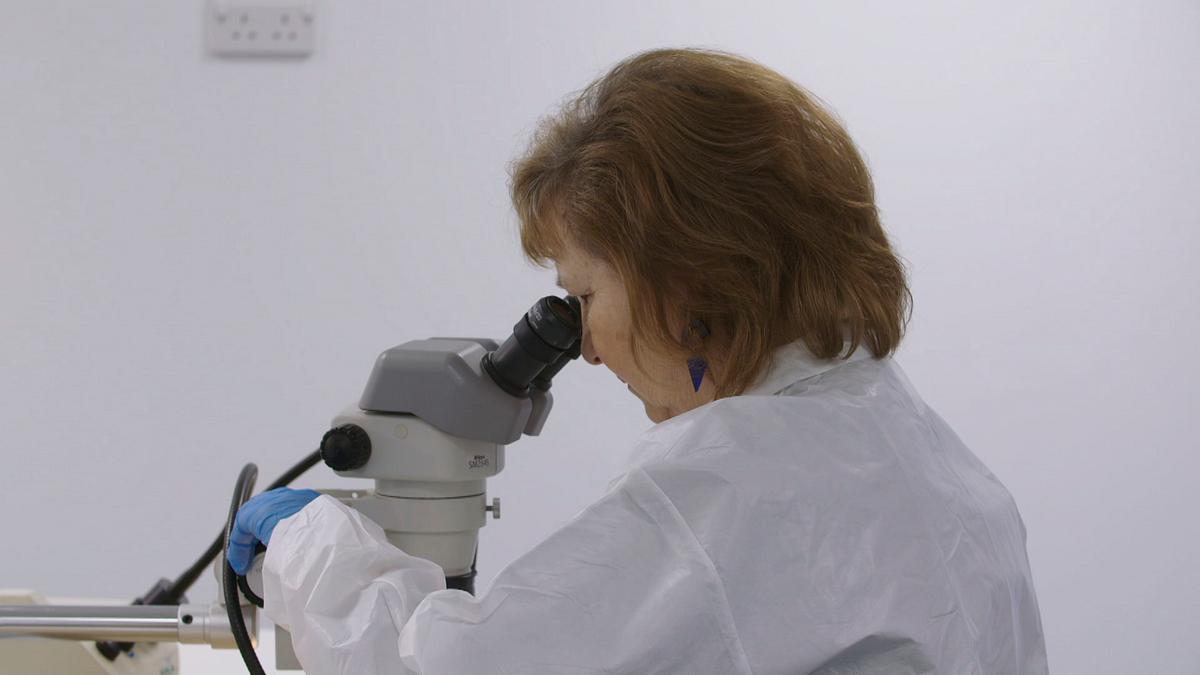 expert witness - forensiker auf spurensuche