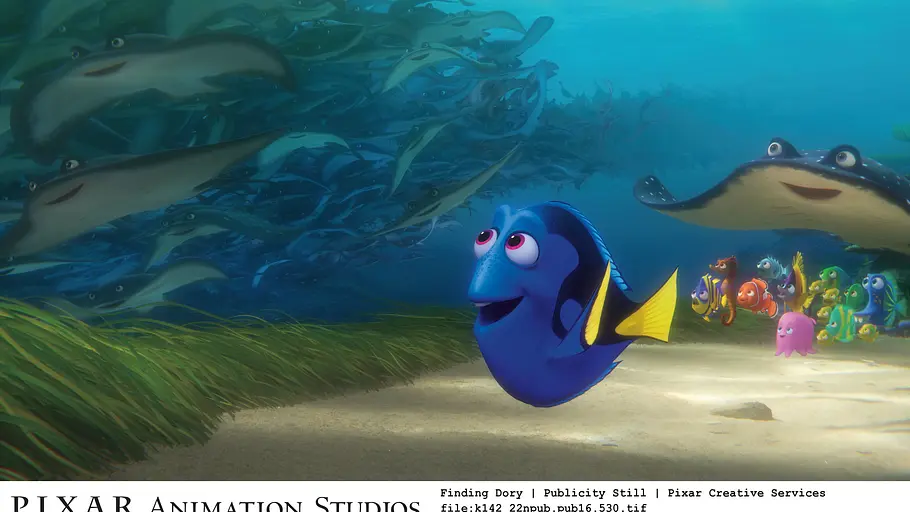 Findet Dorie findet dorie