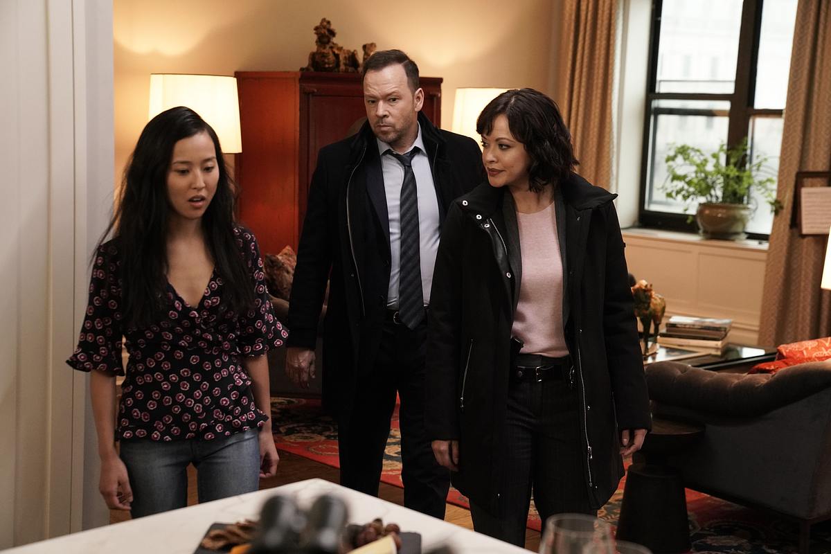 blue bloods - crime scene new york