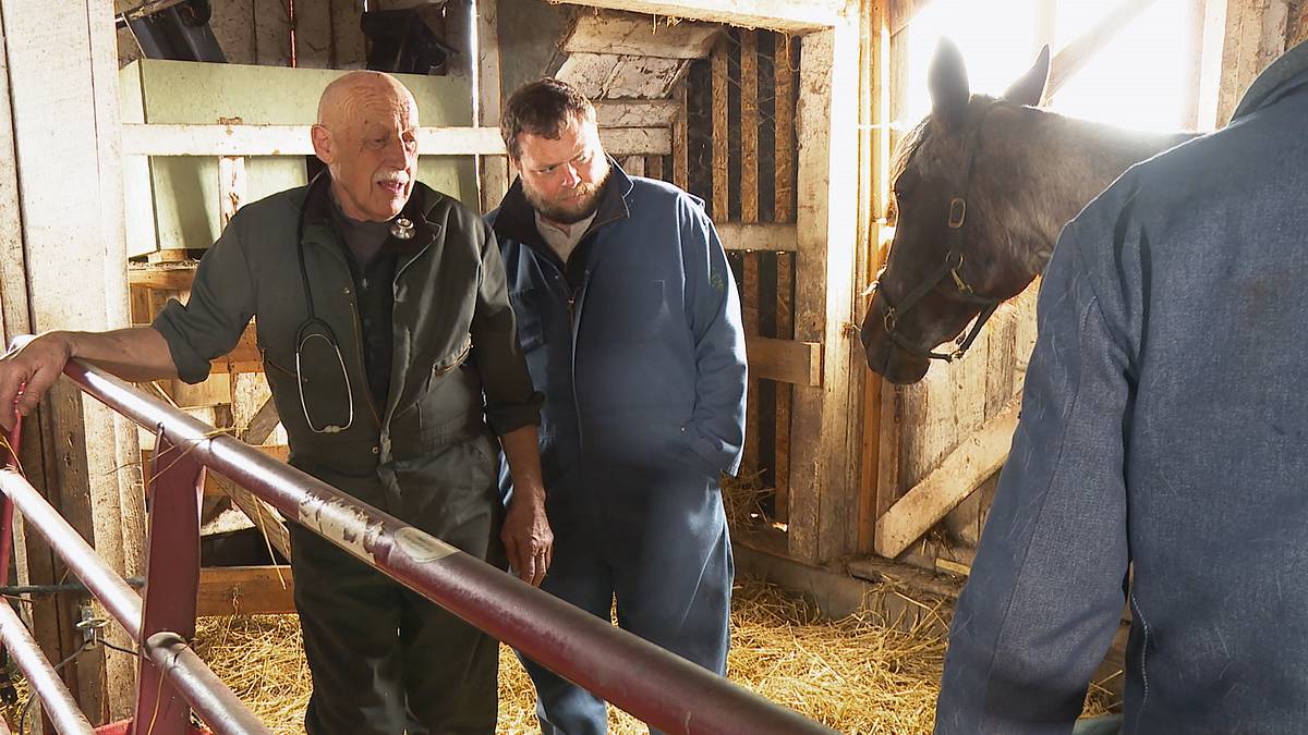 der unglaubliche dr. pol