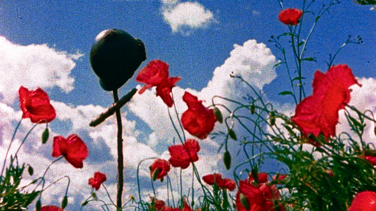 Zweiter Weltkrieg: Der Italienfeldzug zweiter weltkrieg: der italienfeldzug