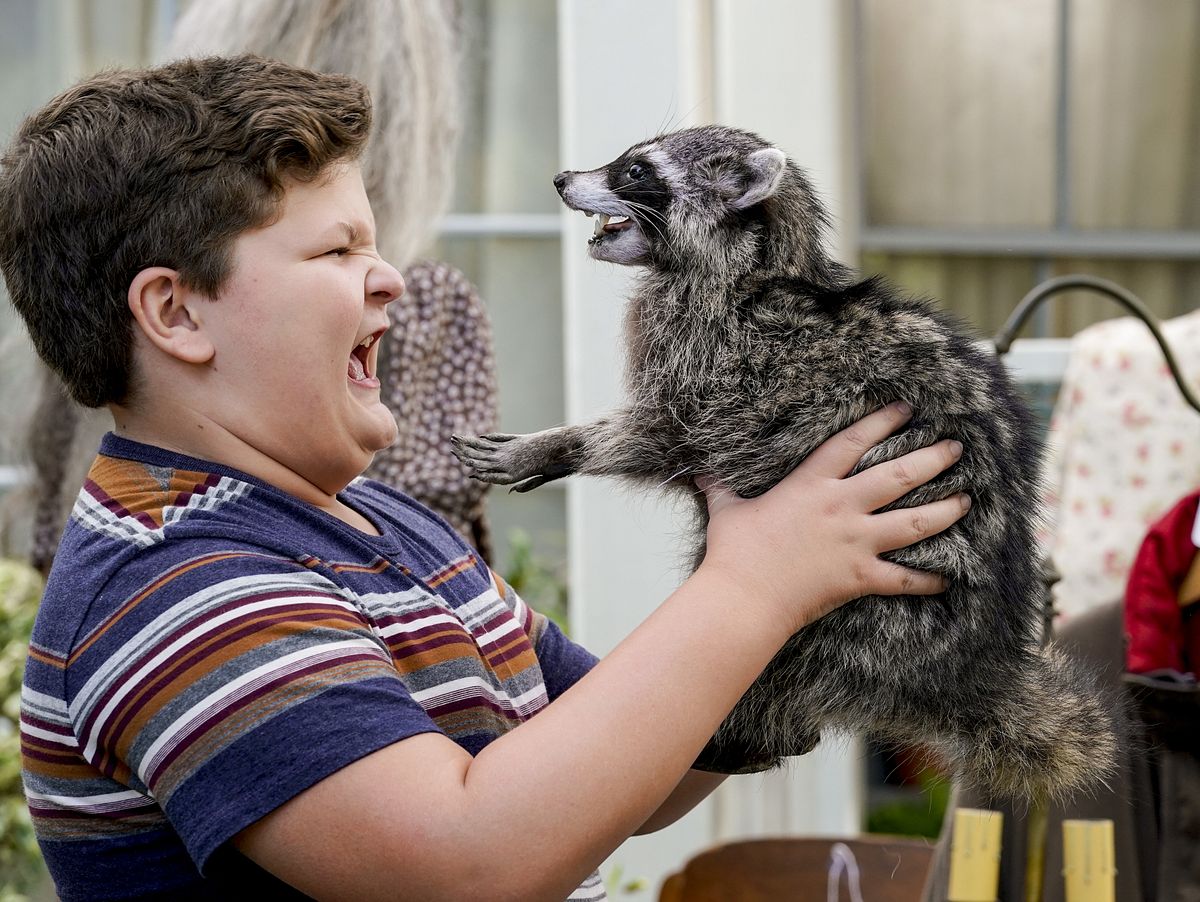 Young Sheldon young sheldon