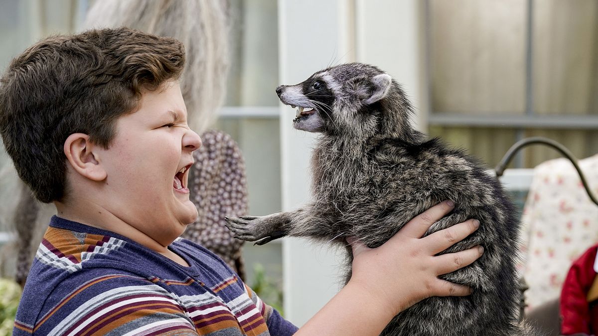 young sheldon