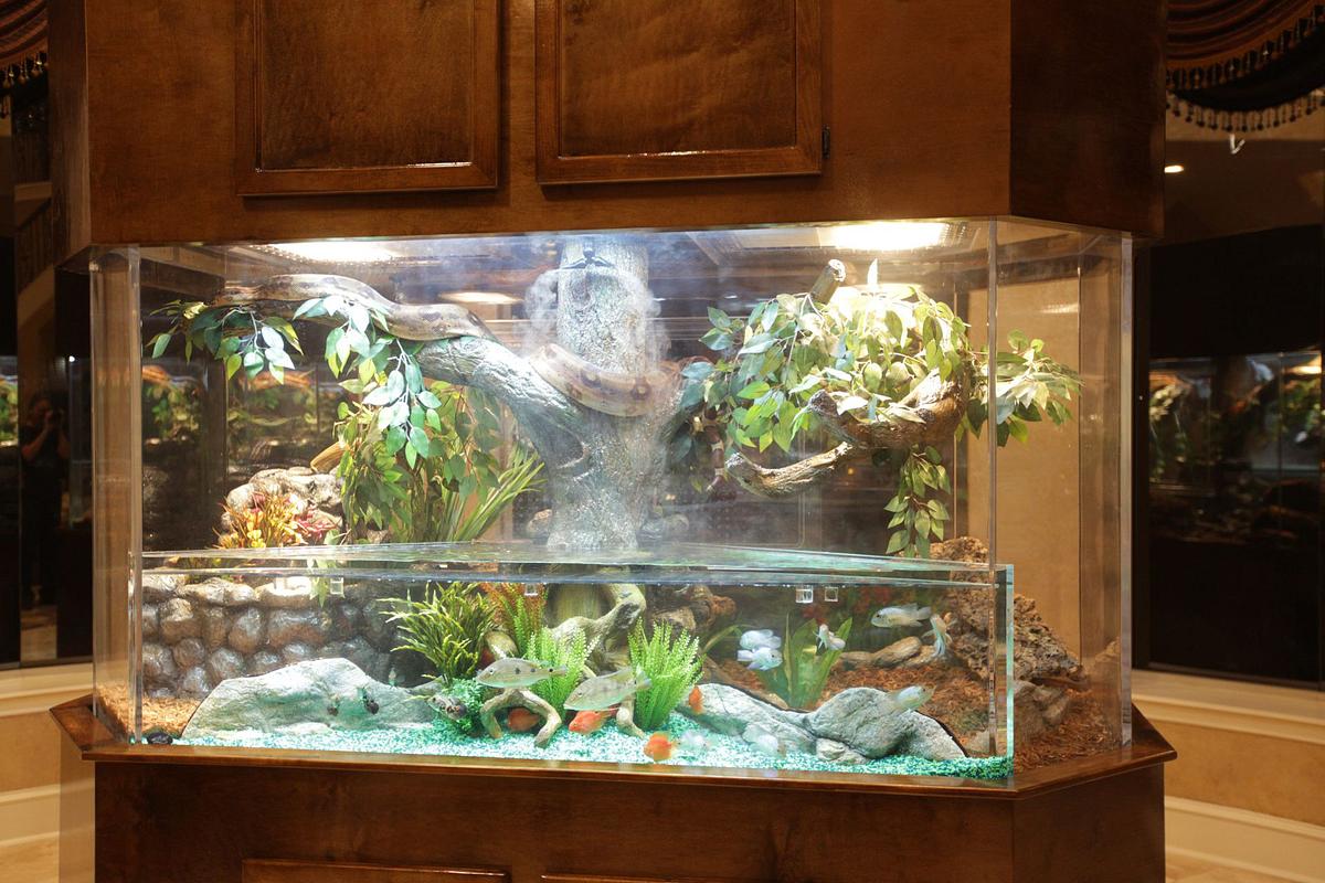 Die Aquarium-Profis die aquarium-profis