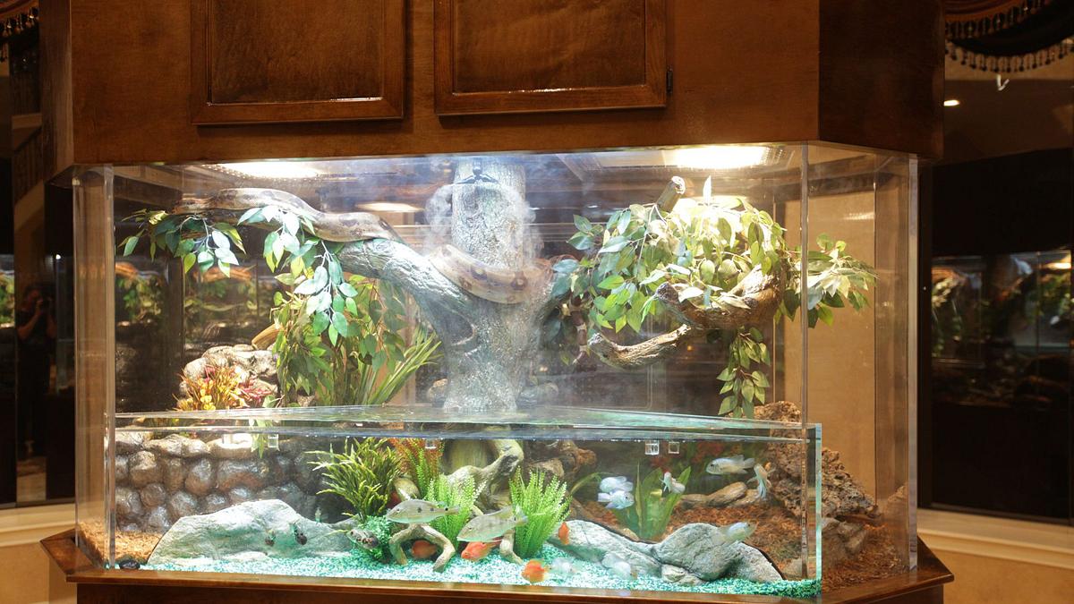 die aquarium-profis
