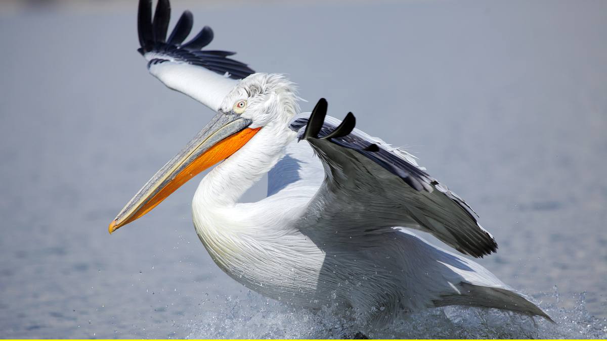 abenteuer wildnis