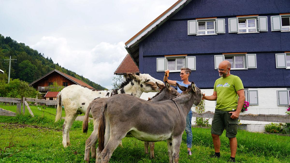 lust aufs land - bayerische hofgeschichten