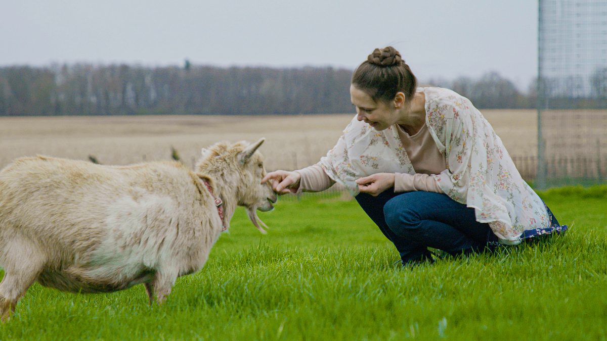 die unglaubliche pol-farm