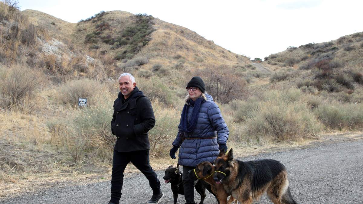 cesar millan: guter mensch, guter hund