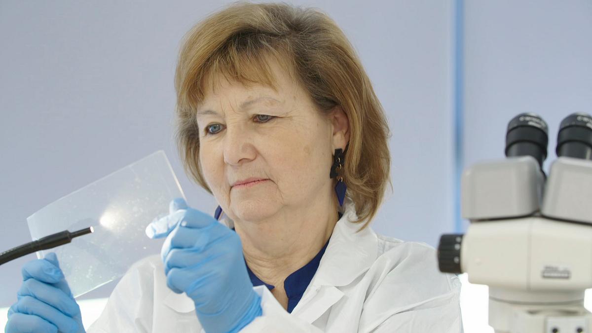 expert witness - forensiker auf spurensuche