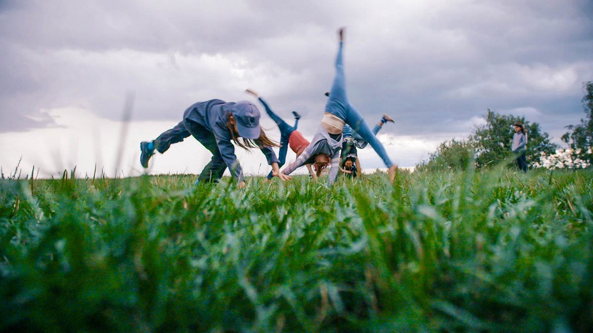 sommercamp - back to the roots