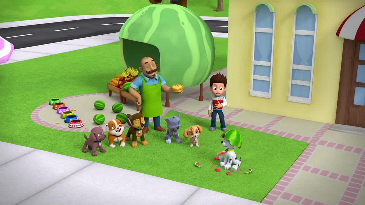 paw patrol - helfer auf vier pfoten