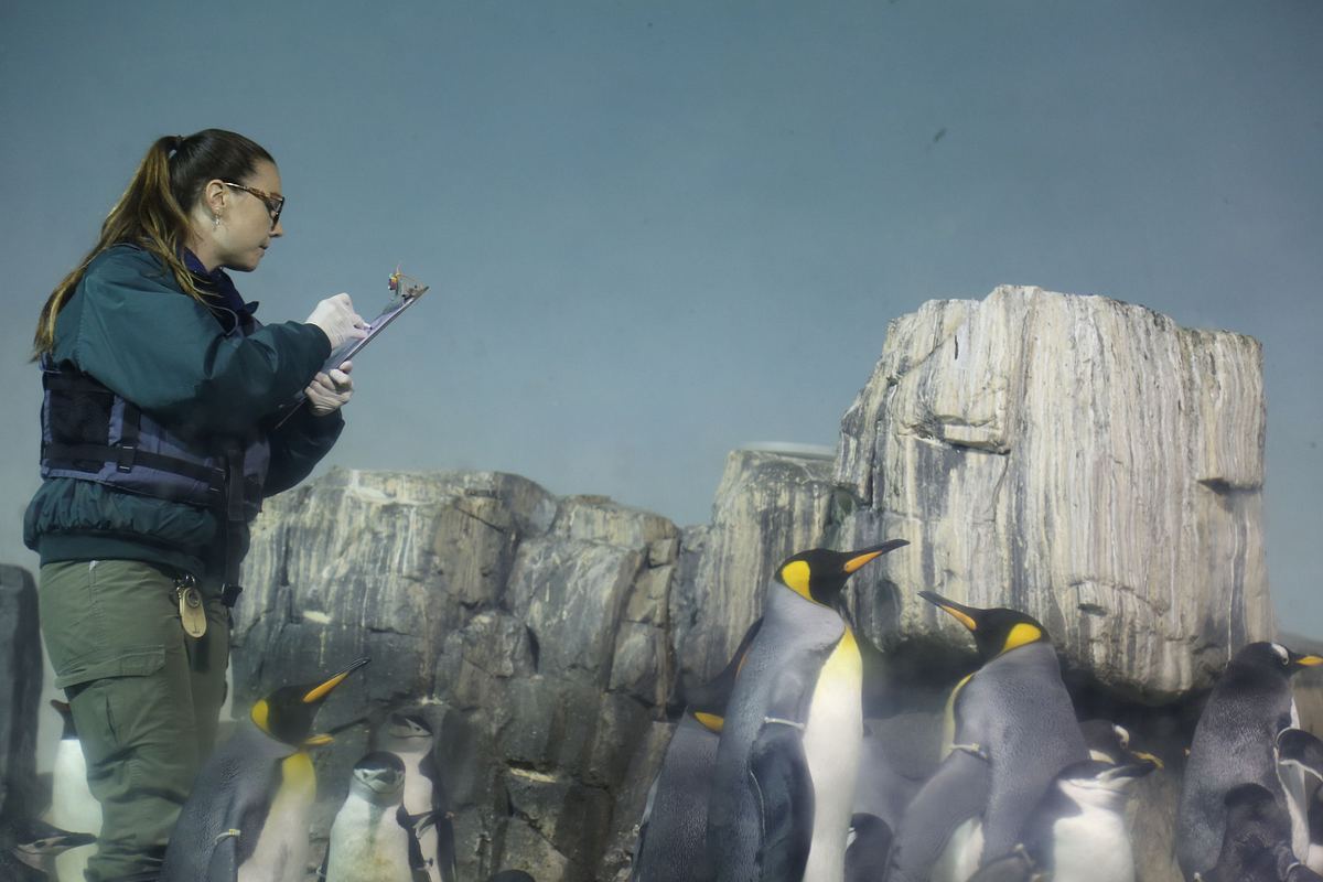 Bronx Zoo - Tierpark der Superlative bronx zoo - tierpark der superlative