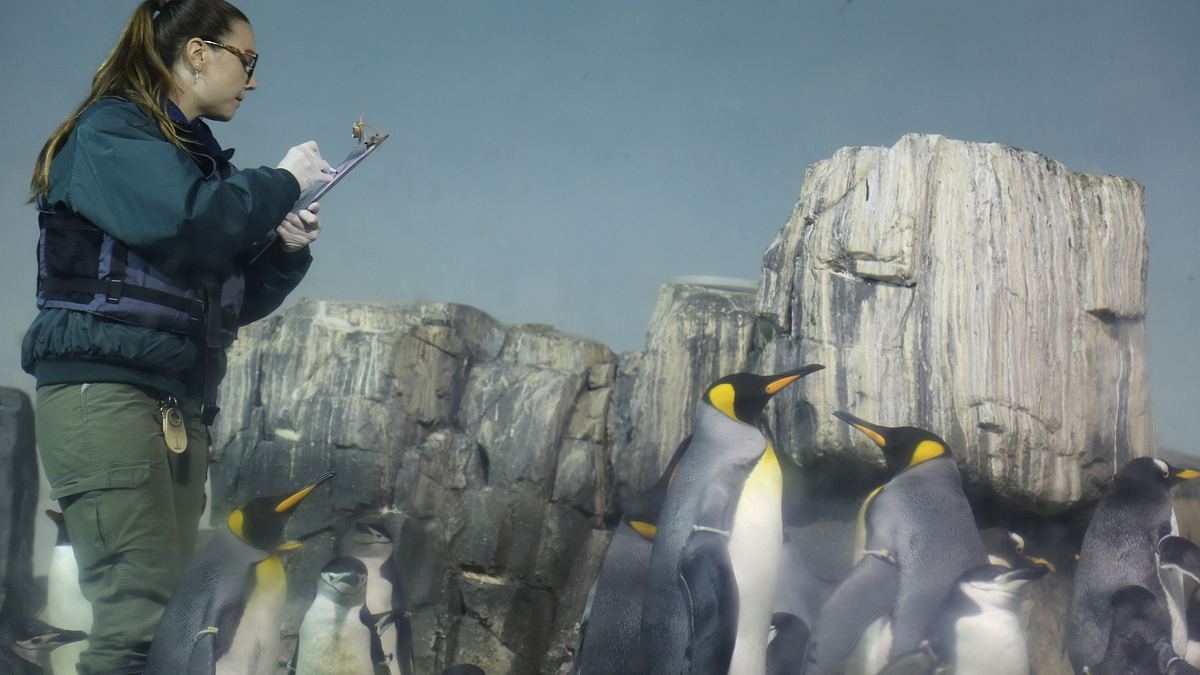 bronx zoo - tierpark der superlative