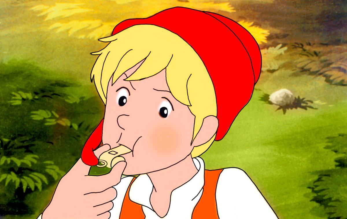wunderbare reise des kleinen nils holgersson mit den wildgänsen