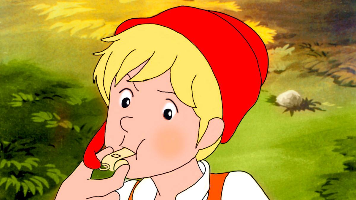 wunderbare reise des kleinen nils holgersson mit den wildgänsen