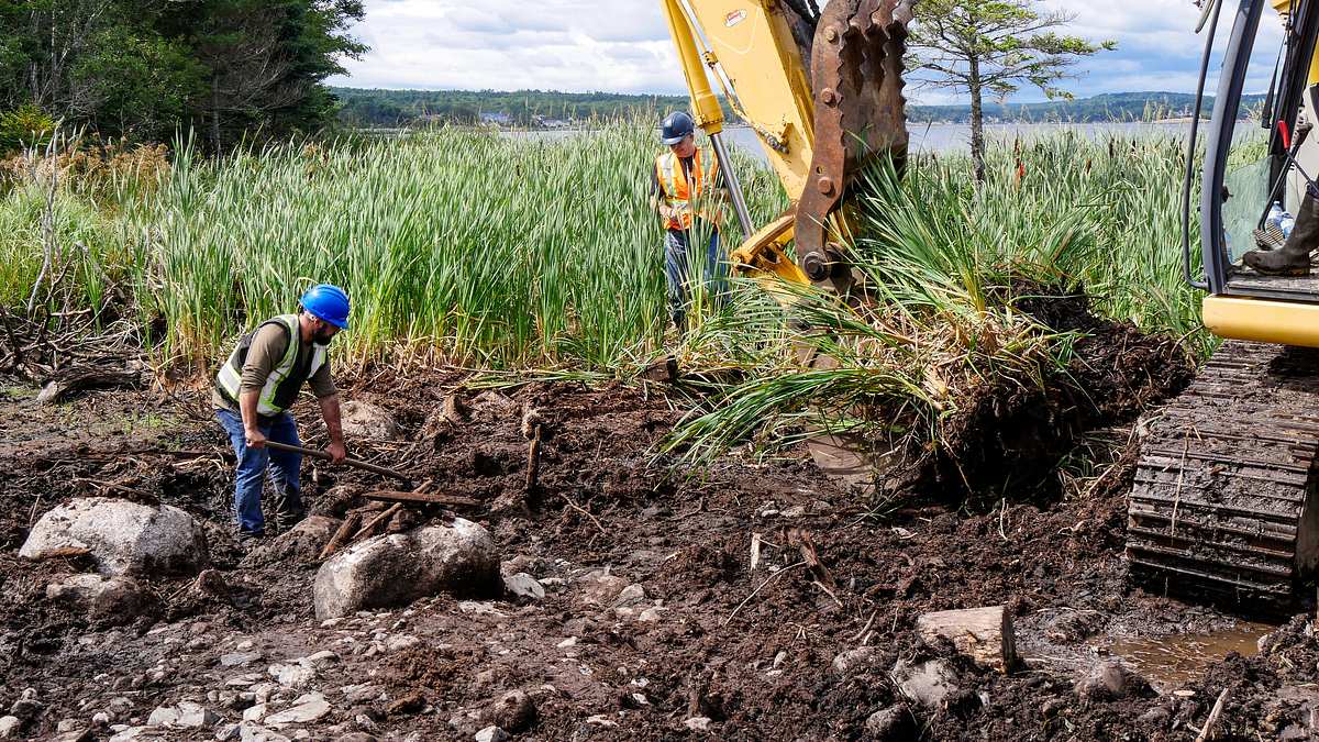 oak island - fluch und legende