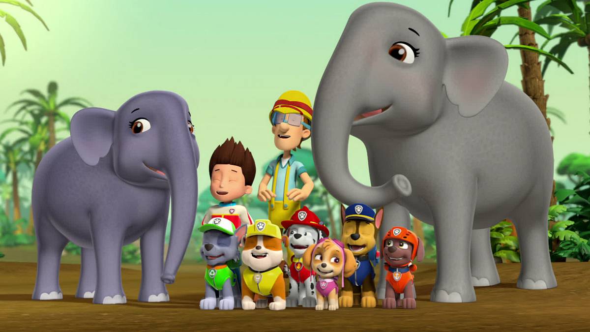 paw patrol - helfer auf vier pfoten