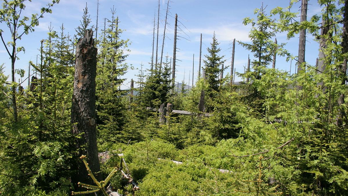 abenteuer wildnis