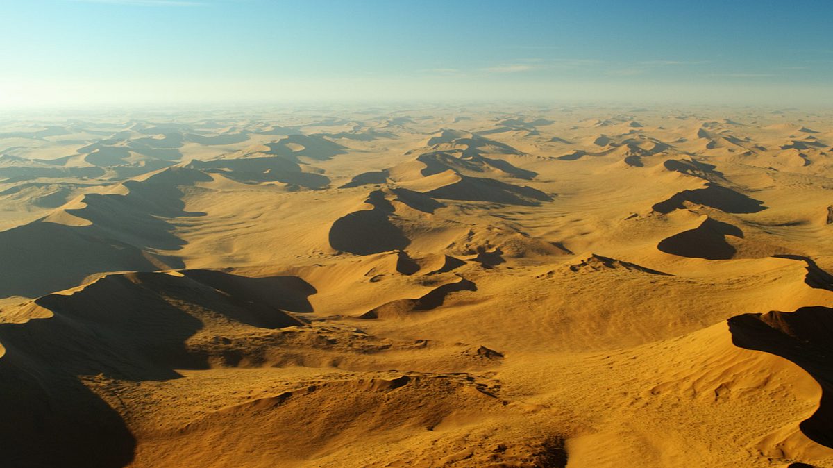 faszination afrika