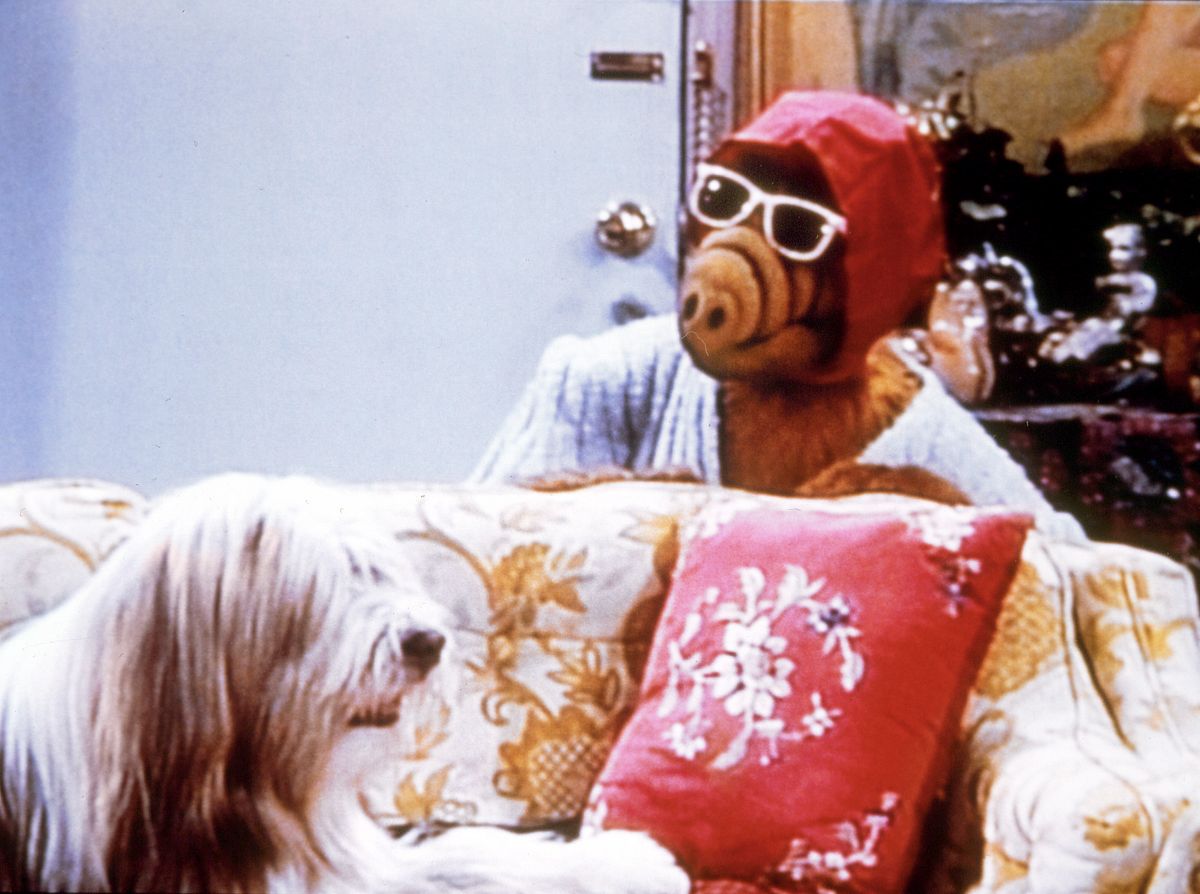 alf