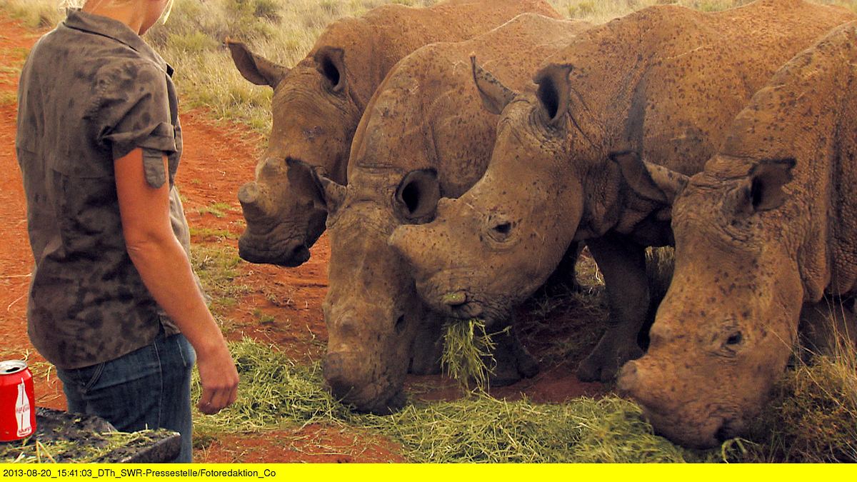 das waisenhaus für wilde tiere - abenteuer afrika