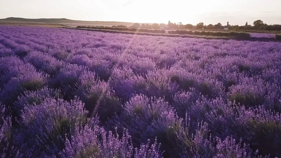 3satThementag: La belle France 3satthementag: la belle france