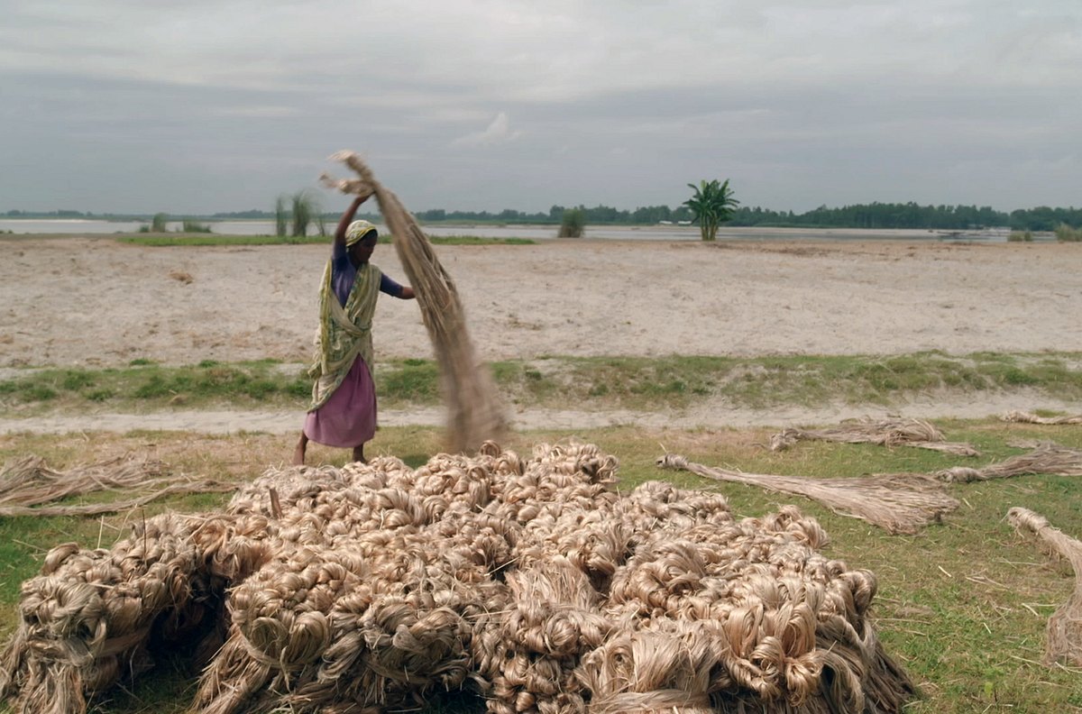 faserfarmer - bei den jutebauern von bangladesch