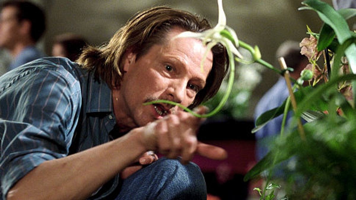 adaption - der orchideendieb