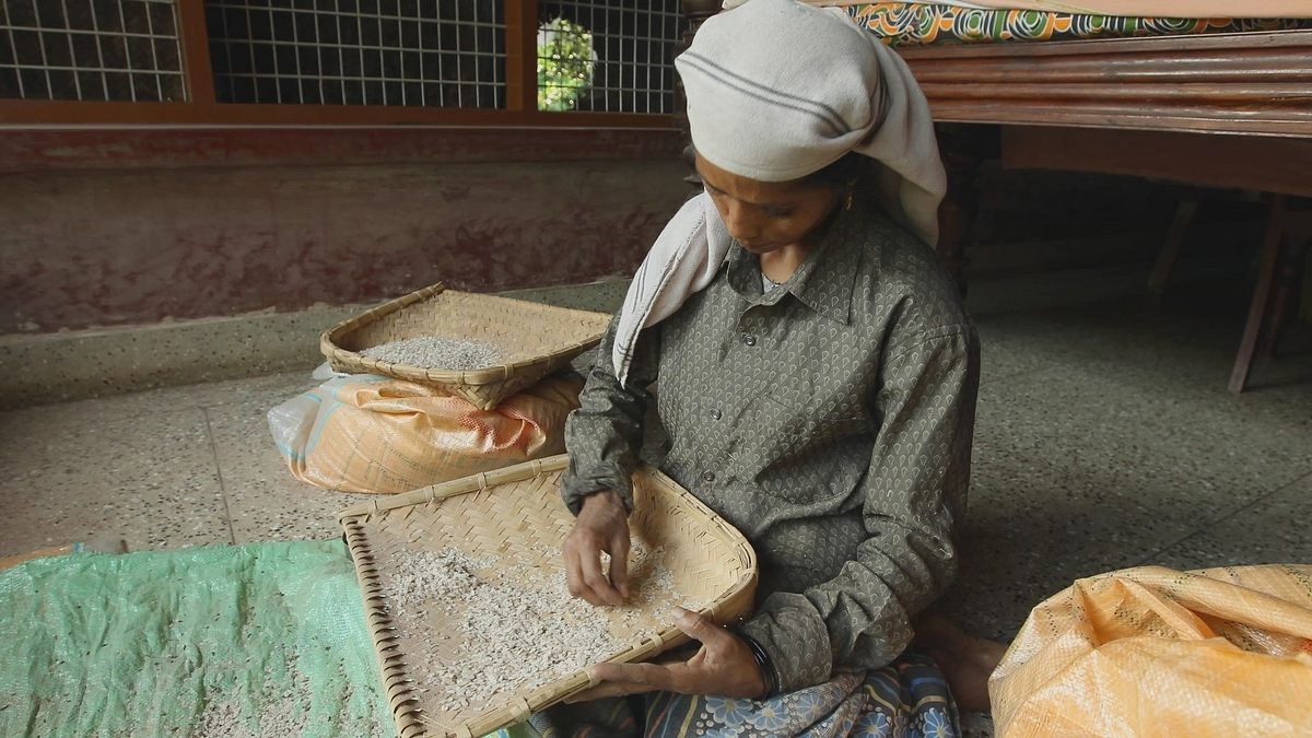kerala - indiens tropischer garten
