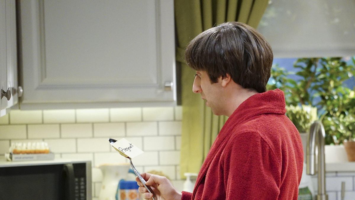 the big bang theory