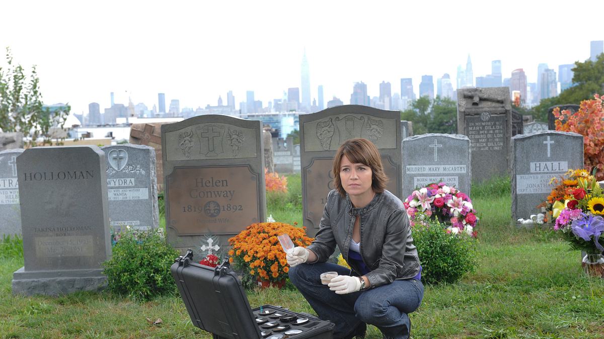 csi: ny