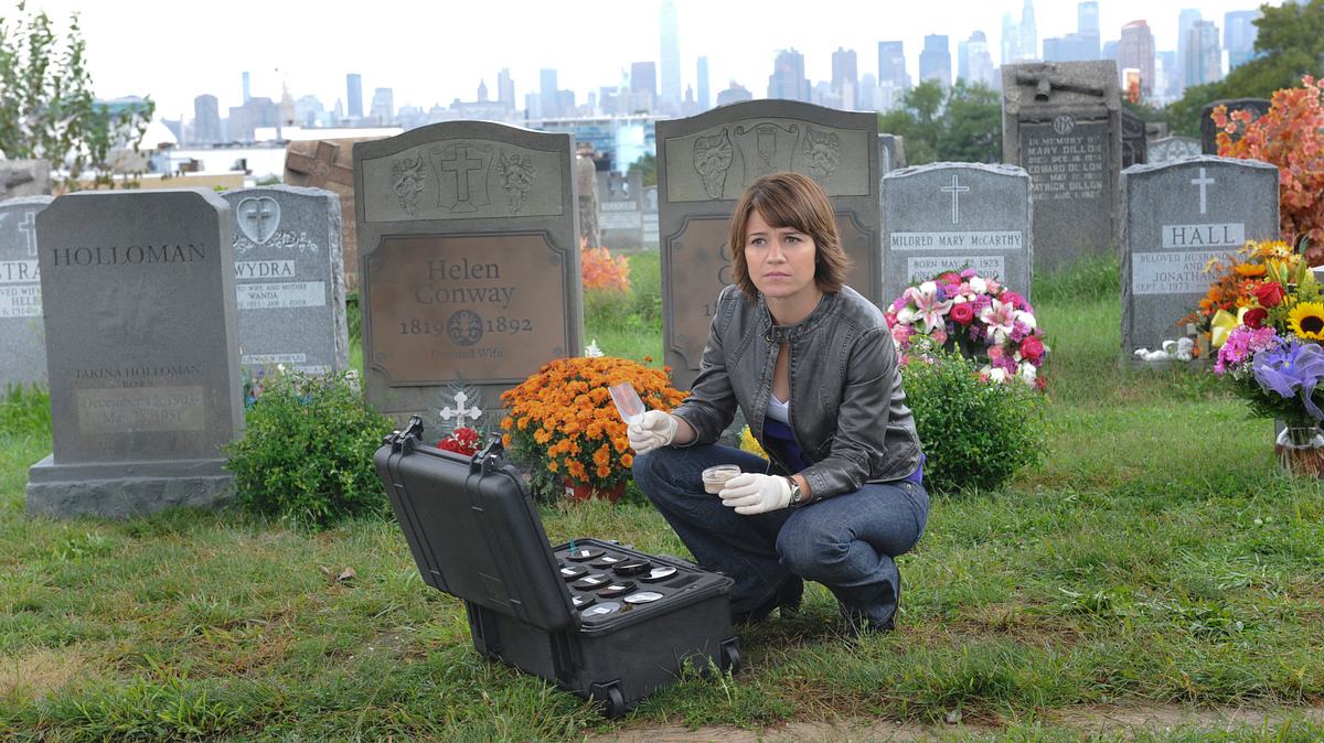 csi: ny