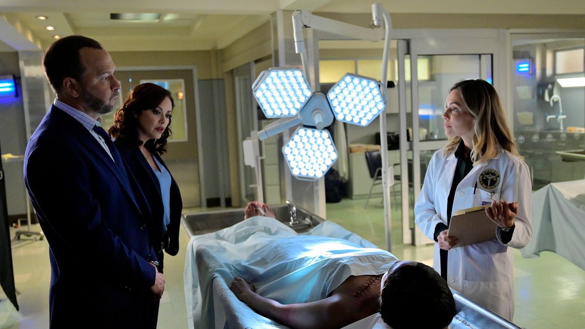 blue bloods - crime scene new york