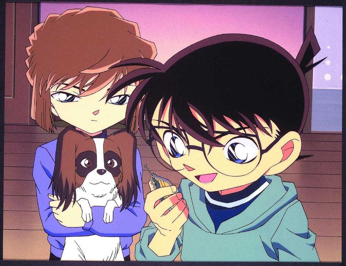 Detektiv Conan detektiv conan