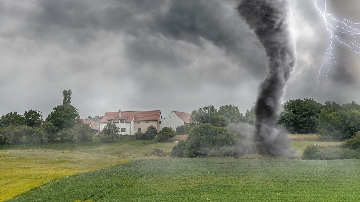 in the eye of the storm