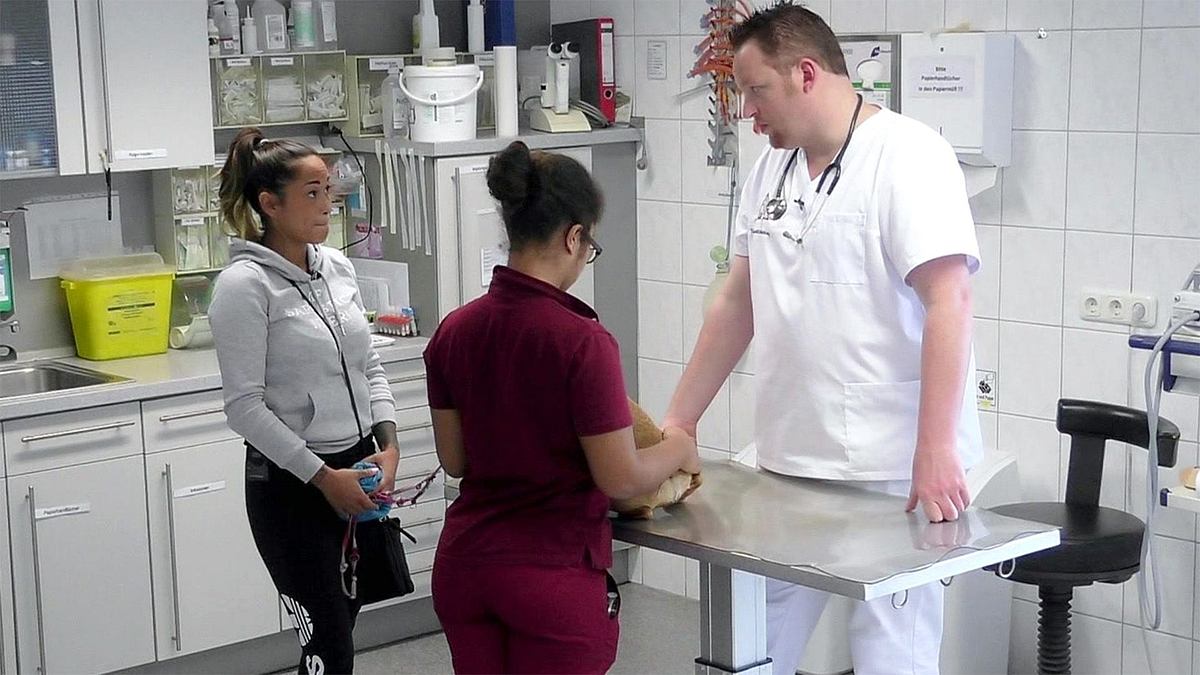 hautnah: die tierklinik
