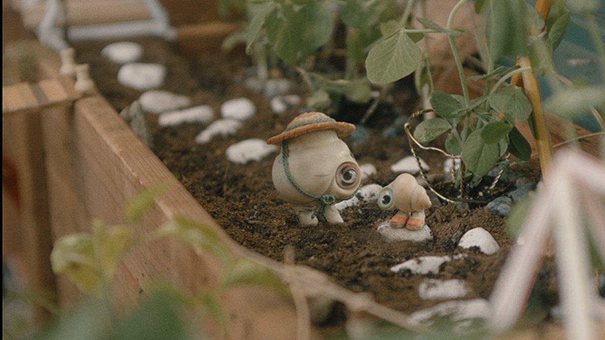 marcel the shell
